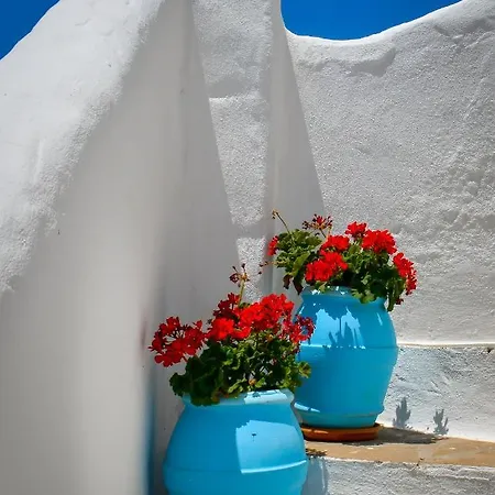 Διαμέρισμα Spiti Georgia In Village Δρυός