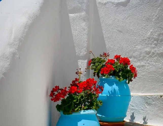 Appartamento Spiti Georgia In Village Drios