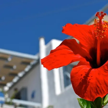 Spiti Georgia In Village Drios