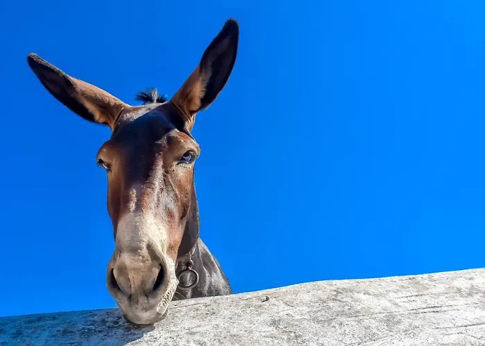 Apartamento Spiti Georgia In Village *